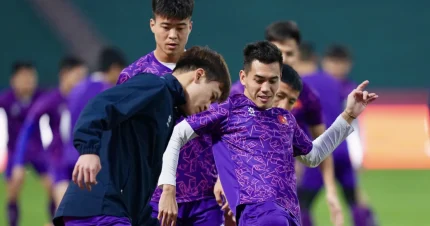 Độc giả Báo Thanh Niên vững tin vào đội tuyển Việt Nam ở trận đại chiến Indonesia Độc giả Báo Thanh Niên vững tin vào đội tuyển Việt Nam ở trận đại chiến Indonesia