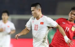 Việt Nam bất ngờ tăng nhiều bậc nhất trên bảng xếp hạng FIFA tháng 12: Nhờ AFF Cup Việt Nam bất ngờ tăng nhiều bậc nhất trên bảng xếp hạng FIFA tháng 12: Nhờ AFF Cup
