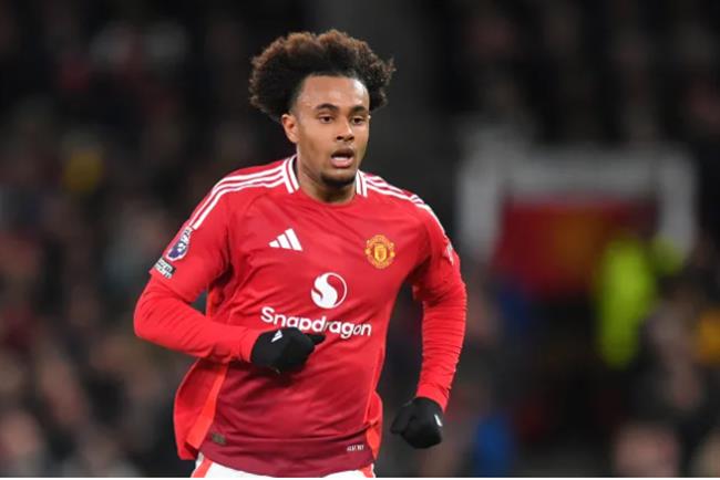 Joshua Zirkzee Joshua Zirkzee