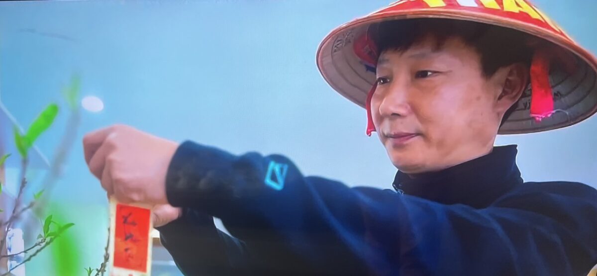 HLV Kim sang-sik đội nón lá trang trí cây đào HLV Kim sang-sik đội nón lá trang trí cây đào